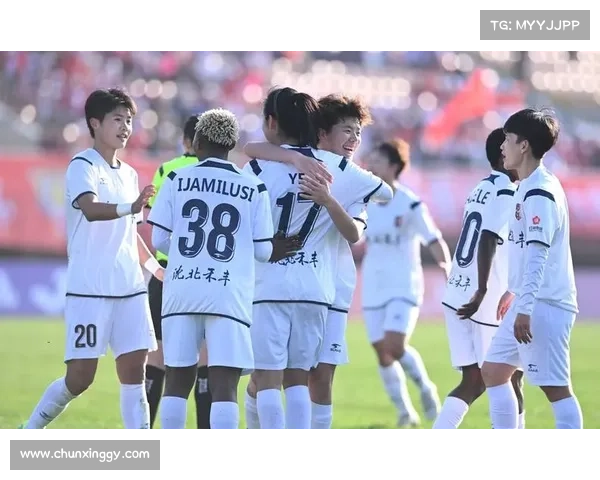 凯泽斯劳滕奇迹难再现 北京女足失利未能问鼎 辽宁女足重蹈辽小虎悲剧覆辙